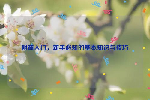 射箭入门，新手必知的基本知识与技巧